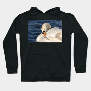 Graceful swan preening Hoodie